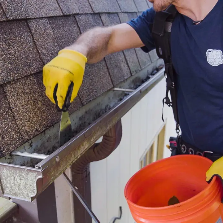 Gutter Repair Services