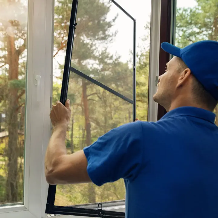 Windows Replacement Services